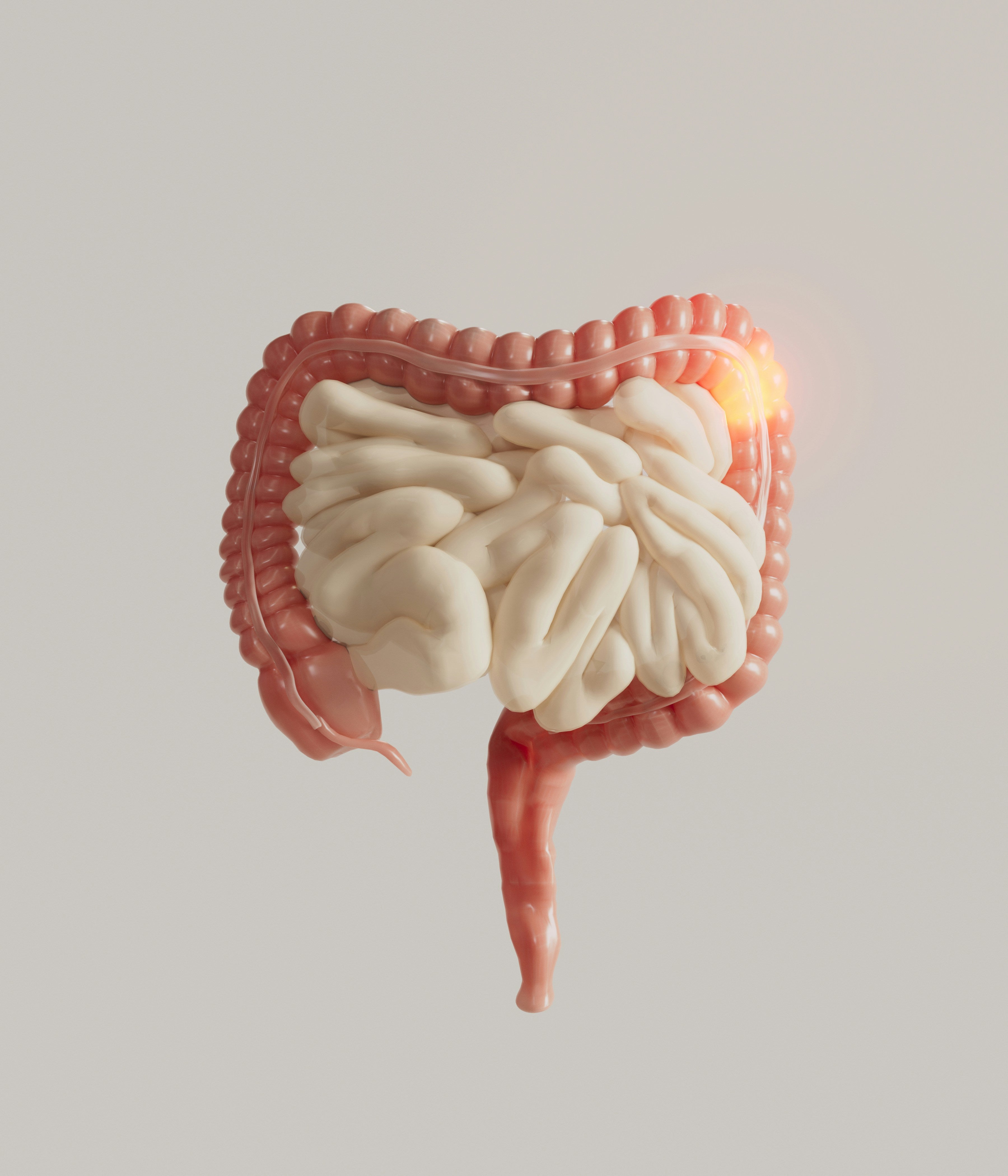 The Gut-Brain Connection: How Digestion Shapes Your Mind – &Mind