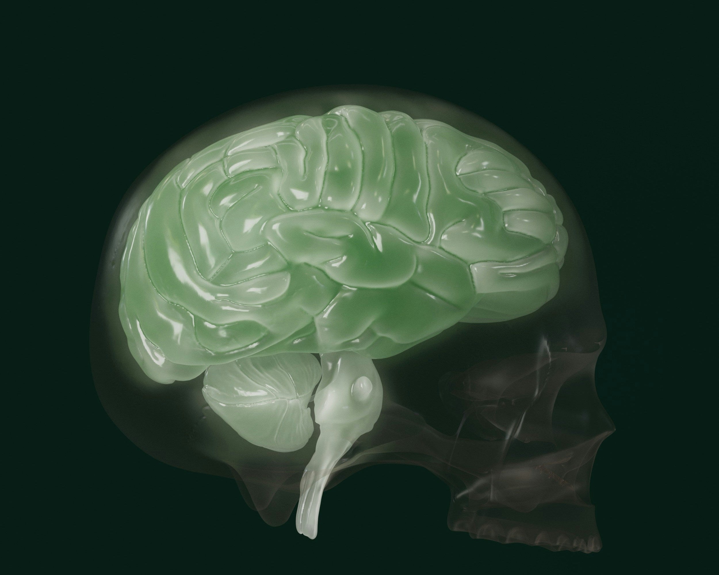 The Hidden Cost of Brain Fog